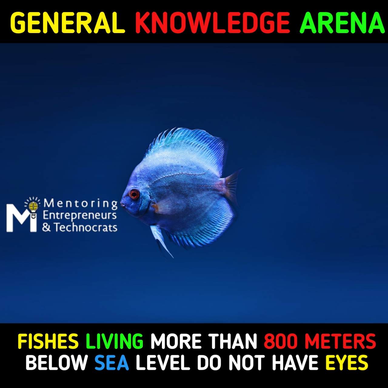 Fish General Knowledge facts