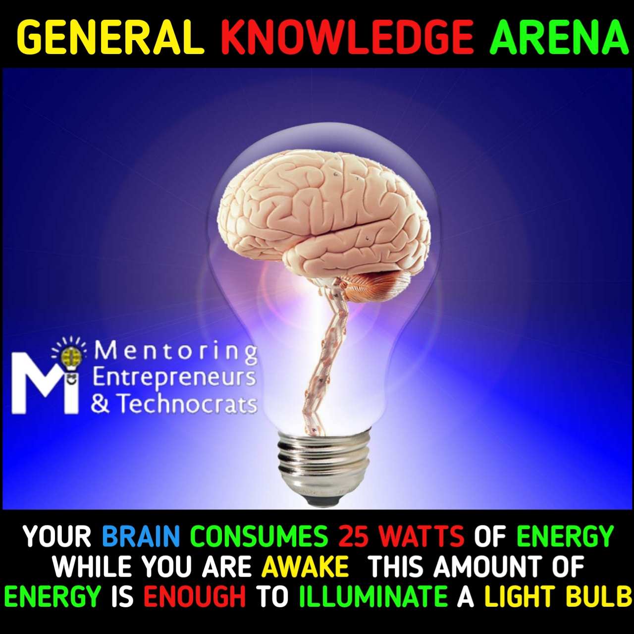 amazing facts about brain