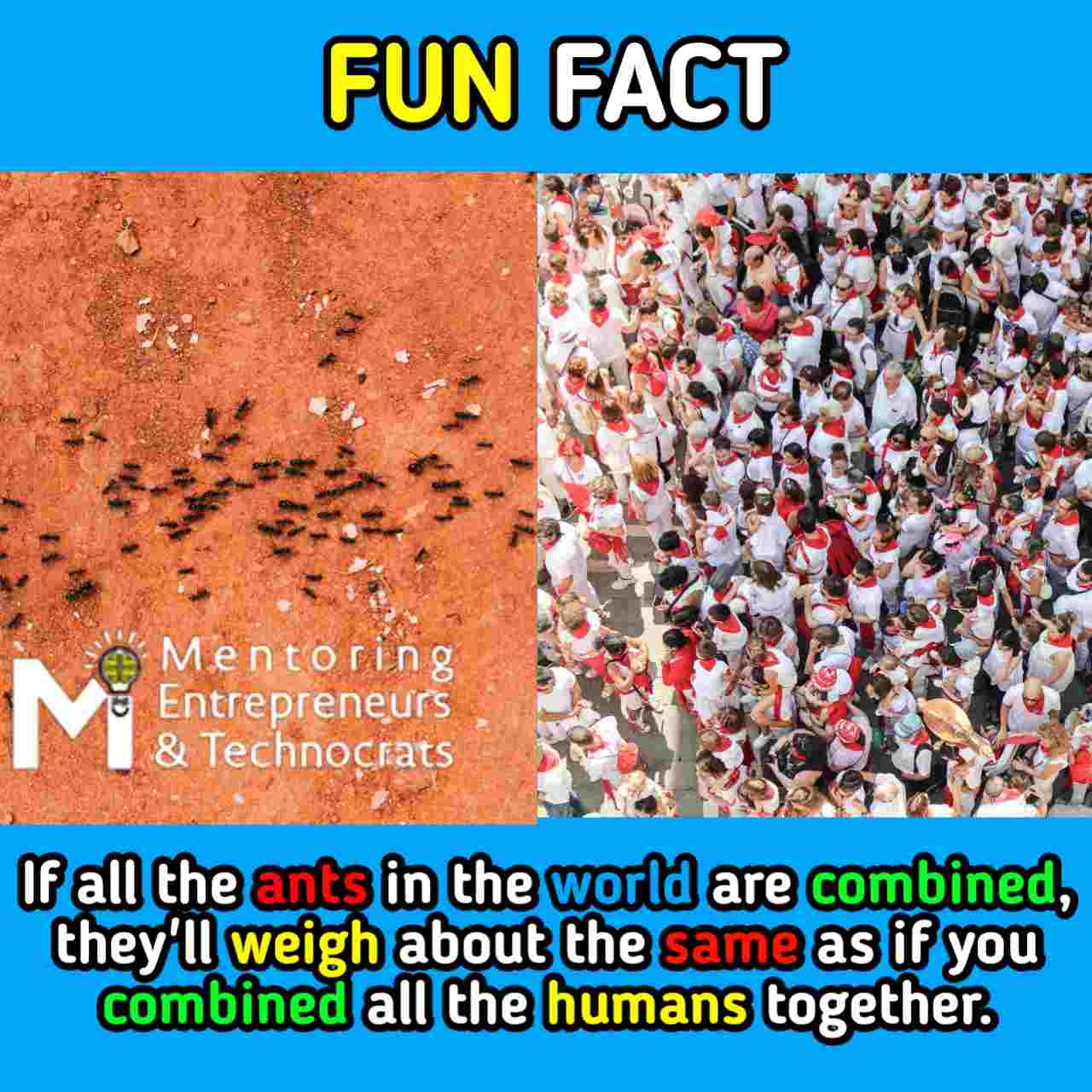 Ants fun fact