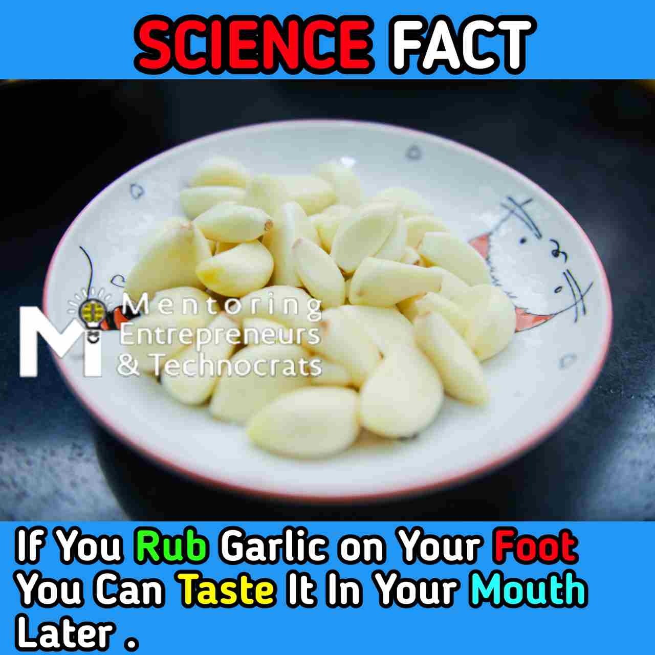 Garlic science fact