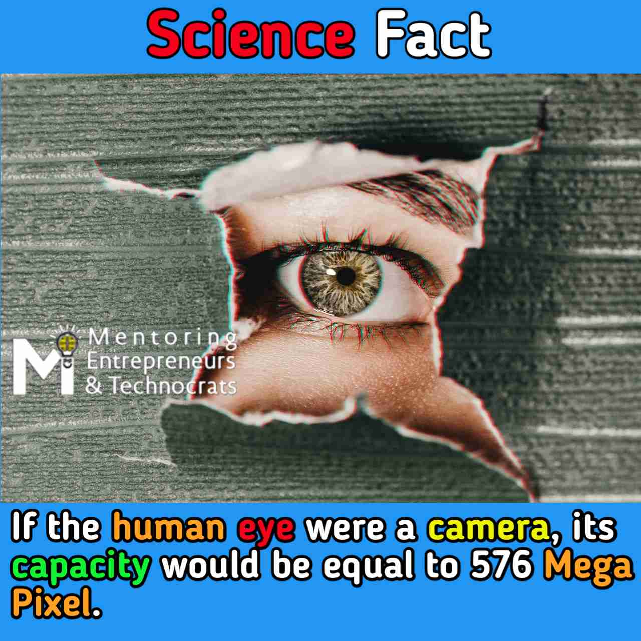 human eye science facts