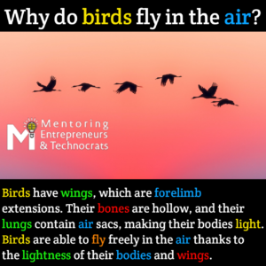 Birds fact