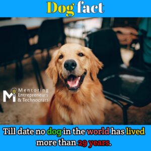 Dog fact
